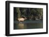 Rocky Mountain Bull Elk Bugling-Ken Archer-Framed Premium Photographic Print