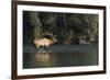 Rocky Mountain Bull Elk Bugling-Ken Archer-Framed Photographic Print