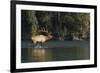 Rocky Mountain Bull Elk Bugling-Ken Archer-Framed Photographic Print