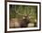 Rocky mountain bull elk in rut, Madison River, Yellowstone National Park, Wyoming-Maresa Pryor-Framed Photographic Print