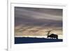 Rocky Mountain Bull Elk, Winter Sunset-Ken Archer-Framed Photographic Print