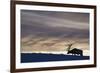 Rocky Mountain Bull Elk, Winter Sunset-Ken Archer-Framed Photographic Print