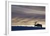 Rocky Mountain Bull Elk, Winter Sunset-Ken Archer-Framed Photographic Print