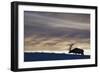 Rocky Mountain Bull Elk, Winter Sunset-Ken Archer-Framed Photographic Print