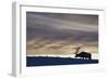 Rocky Mountain Bull Elk, Winter Sunset-Ken Archer-Framed Photographic Print