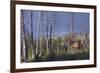 Rocky Mountain Bull Elk-Ken Archer-Framed Photographic Print