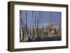 Rocky Mountain Bull Elk-Ken Archer-Framed Photographic Print