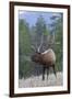 Rocky Mountain Bull Elk-Ken Archer-Framed Photographic Print