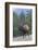 Rocky Mountain Bull Elk-Ken Archer-Framed Photographic Print