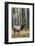 Rocky Mountain Bull Elk-Ken Archer-Framed Photographic Print