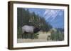 Rocky Mountain bull elk-Ken Archer-Framed Photographic Print