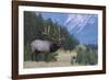 Rocky Mountain bull elk-Ken Archer-Framed Photographic Print