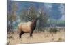 Rocky Mountain bull elk-Ken Archer-Mounted Photographic Print