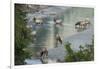 Rocky Mountain Elk Herd Crossing Mountain Stream-Ken Archer-Framed Photographic Print