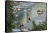 Rocky Mountain Elk Herd Crossing Mountain Stream-Ken Archer-Framed Stretched Canvas