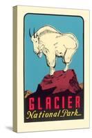 Rocky Mountain Goat, Glacier National Park, Montana-null-Stretched Canvas