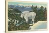 Rocky Mountain Goat, Glacier Park, Montana-null-Stretched Canvas
