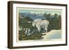 Rocky Mountain Goat, Glacier Park, Montana-null-Framed Art Print