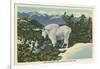 Rocky Mountain Goat, Glacier Park, Montana-null-Framed Art Print