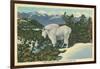 Rocky Mountain Goat, Glacier Park, Montana-null-Framed Art Print