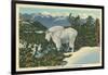 Rocky Mountain Goat, Glacier Park, Montana-null-Framed Art Print