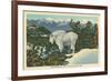 Rocky Mountain Goat, Glacier Park, Montana-null-Framed Art Print