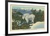 Rocky Mountain Goat, Glacier Park, Montana-null-Framed Art Print