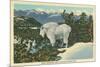Rocky Mountain Goat, Glacier Park, Montana-null-Mounted Art Print