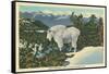 Rocky Mountain Goat, Glacier Park, Montana-null-Framed Stretched Canvas