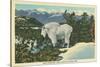 Rocky Mountain Goat, Glacier Park, Montana-null-Stretched Canvas