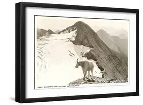 Rocky Mountain Goat, Glacier-null-Framed Art Print