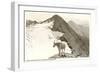 Rocky Mountain Goat, Glacier-null-Framed Art Print