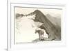 Rocky Mountain Goat, Glacier-null-Framed Art Print