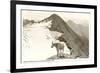 Rocky Mountain Goat, Glacier-null-Framed Art Print