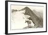 Rocky Mountain Goat, Glacier-null-Framed Art Print