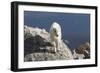 Rocky Mountain Goat-Lynn M^ Stone-Framed Photographic Print