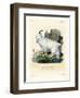 Rocky Mountain Goat-null-Framed Premium Giclee Print