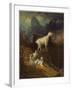 Rocky Mountain Goats, C.1885-Albert Bierstadt-Framed Giclee Print