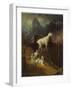 Rocky Mountain Goats, C.1885-Albert Bierstadt-Framed Giclee Print