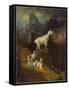 Rocky Mountain Goats, C.1885-Albert Bierstadt-Framed Stretched Canvas