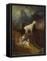 Rocky Mountain Goats, C.1885-Albert Bierstadt-Framed Stretched Canvas