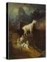 Rocky Mountain Goats, C.1885-Albert Bierstadt-Stretched Canvas