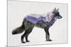 Rocky Mountain Grey Wolf-Davies Babies-Mounted Art Print