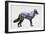 Rocky Mountain Grey Wolf-Davies Babies-Framed Premium Giclee Print