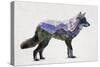 Rocky Mountain Grey Wolf-Davies Babies-Stretched Canvas