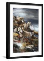 Rocky Mountain Kings-Trevor V. Swanson-Framed Giclee Print