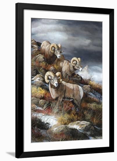 Rocky Mountain Kings-Trevor V. Swanson-Framed Giclee Print