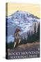 Rocky Mountain National Park, Co - Hiker, c.2009-Lantern Press-Stretched Canvas