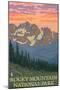 Rocky Mountain National Park, Co - Spring Flowers, c.2009-Lantern Press-Mounted Art Print