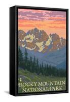 Rocky Mountain National Park, Co - Spring Flowers, c.2009-Lantern Press-Framed Stretched Canvas